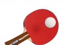 Duplex 6 Star Ping Pong Paddle