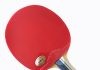 Palio Legend 2 Table Tennis Racquet